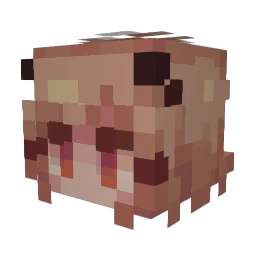 Makceo Minecraft avatar head, 3D render