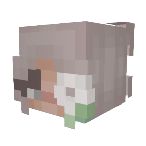 MakkaPakka24 Minecraft avatar head, 3D render