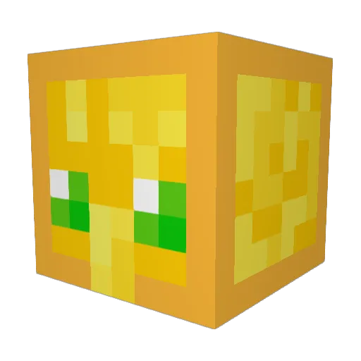 MakkaPakka27 Minecraft avatar head, 3D render