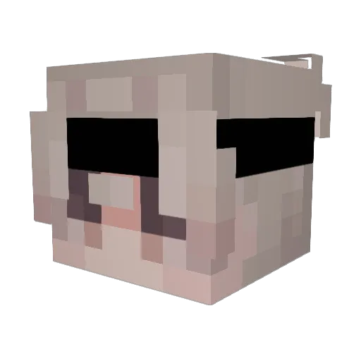 MakkosZahn Minecraft avatar head, 3D render
