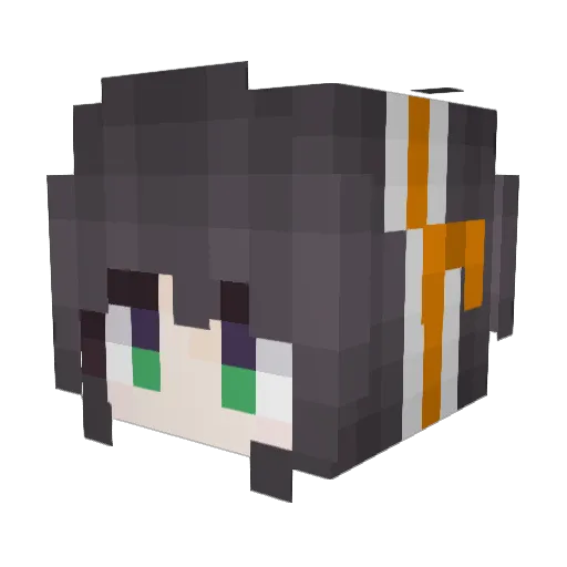 MakoFly Minecraft avatar head, 3D render