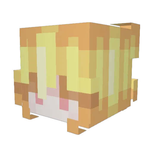 Maksit3711 Minecraft avatar head, 3D render
