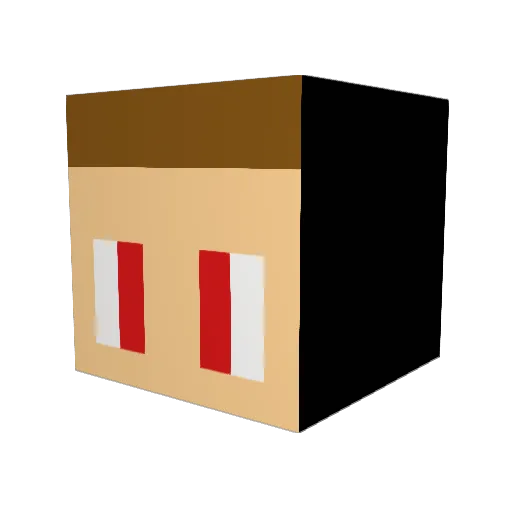 Makupaku Minecraft avatar head, 3D render