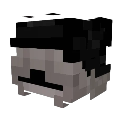 Makus2008 Minecraft avatar head, 3D render