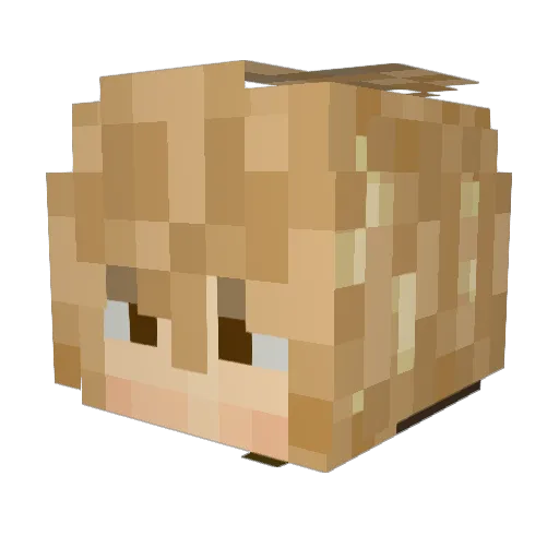 Makxcs Minecraft avatar head, 3D render