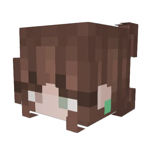 Mal1409 Minecraft avatar head, 3D render