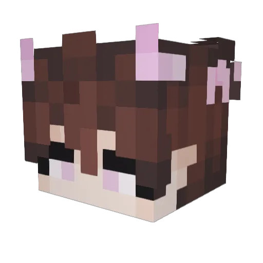 Mal420 Minecraft avatar head, 3D render