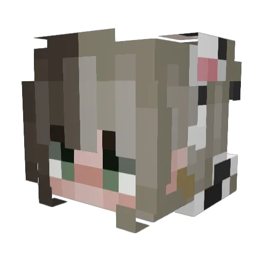 Mal_00 Minecraft avatar head, 3D render