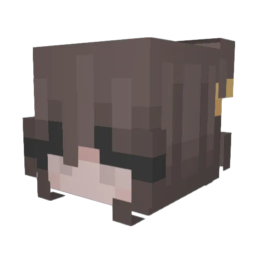Mal_223 Minecraft avatar head, 3D render