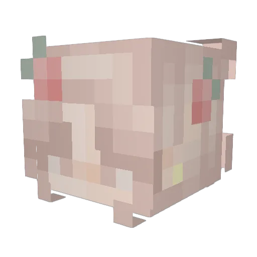 Malachiiiii Minecraft avatar head, 3D render