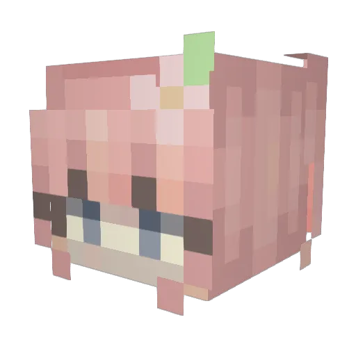 Malaeli Minecraft avatar head, 3D render
