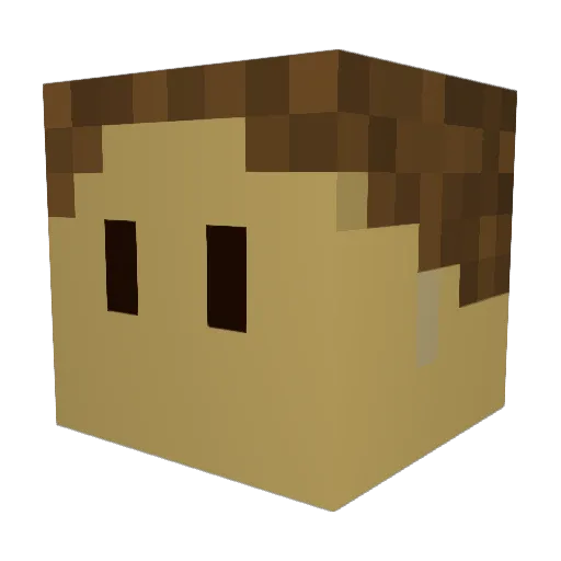 Malarije Minecraft avatar head, 3D render