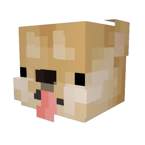 Malbs1234 Minecraft avatar head, 3D render