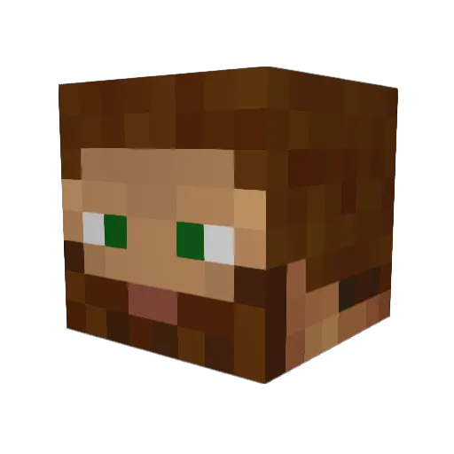 Malcolm1989 Minecraft avatar head, 3D render