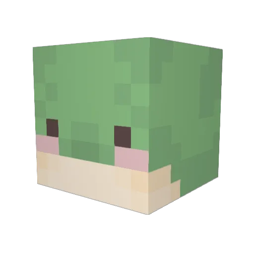 Malden_1200 Minecraft avatar head, 3D render