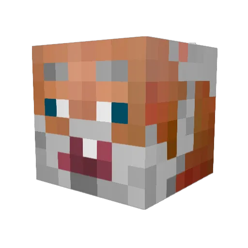 MaleHobo Minecraft avatar head, 3D render
