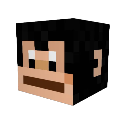 Maleng0419 Minecraft avatar head, 3D render