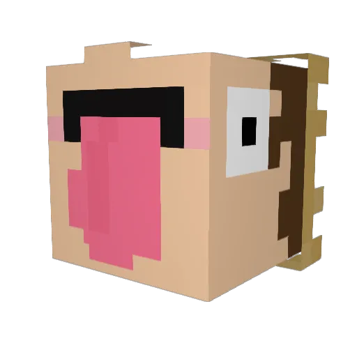 Malffyreach_ Minecraft avatar head, 3D render