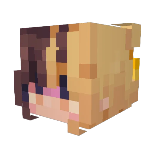 Malibulle Minecraft avatar head, 3D render