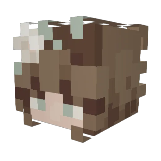 Maliinowski Minecraft avatar head, 3D render