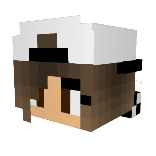 Malin_p123 Minecraft avatar head, 3D render