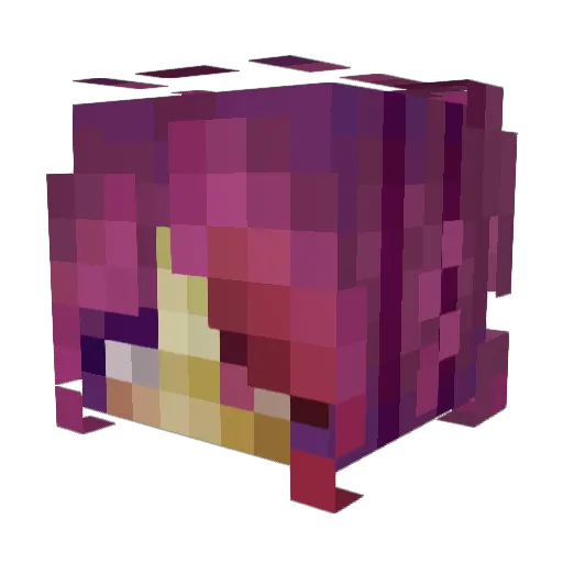 Malkcup Minecraft avatar head, 3D render