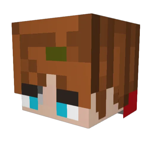 MallardLoses Minecraft avatar head, 3D render