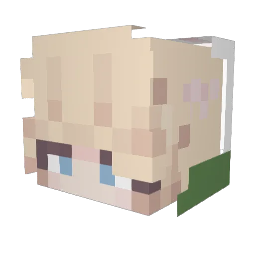 MallardsMoth Minecraft avatar head, 3D render