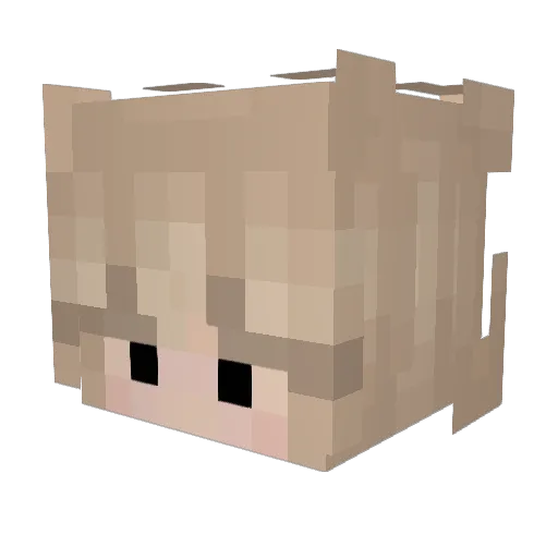 Malle_0534 Minecraft avatar head, 3D render