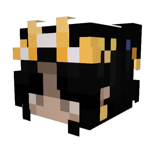 Mallo447 Minecraft avatar head, 3D render