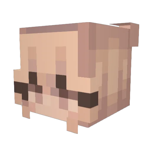 Mallocorn13 Minecraft avatar head, 3D render
