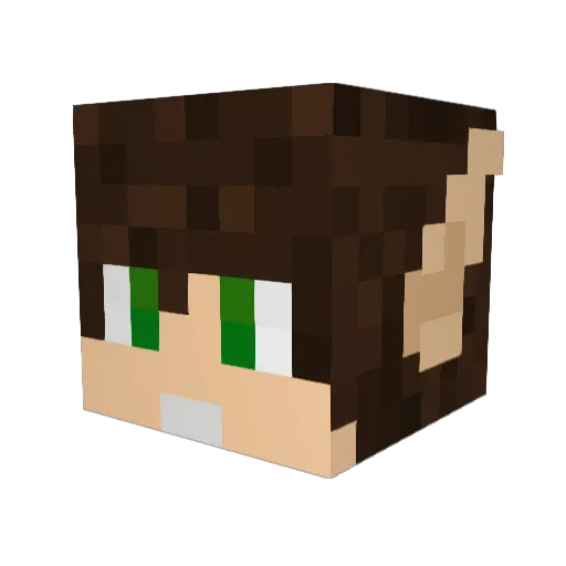 Mallon24 Minecraft avatar head, 3D render