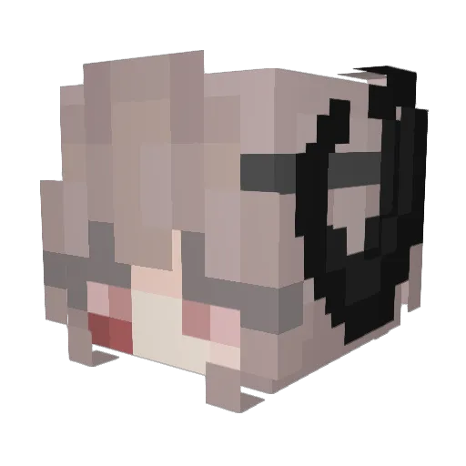 Mallow_Ferret Minecraft avatar head, 3D render