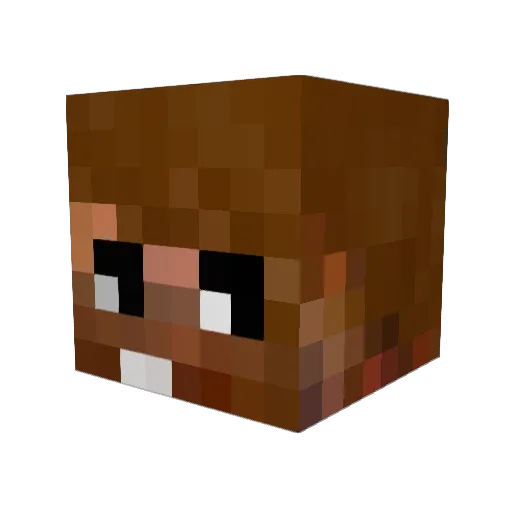 Mally__ Minecraft avatar head, 3D render