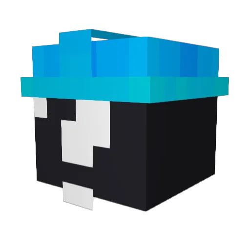 Maltespelar14 Minecraft avatar head, 3D render