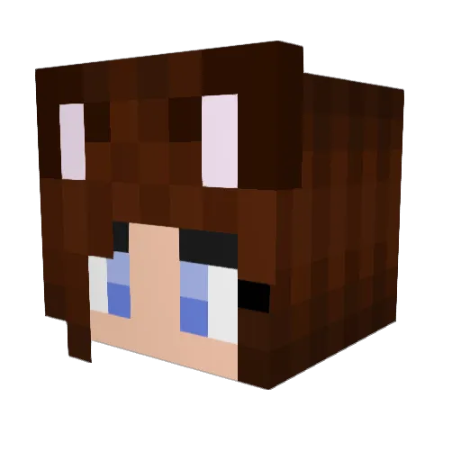 MalyTygrys Minecraft avatar head, 3D render