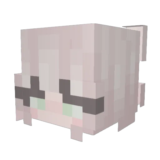 Malyszka Minecraft avatar head, 3D render
