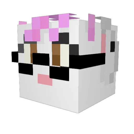 Mama_RileyTTV Minecraft avatar head, 3D render