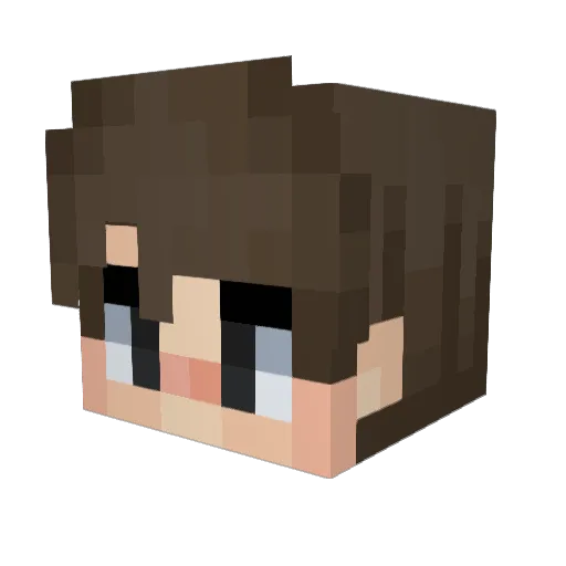 Mamabooshka Minecraft avatar head, 3D render