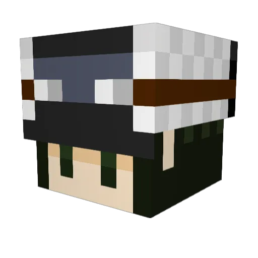 Mamejirou Minecraft avatar head, 3D render