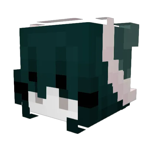 Mamoiirae Minecraft avatar head, 3D render