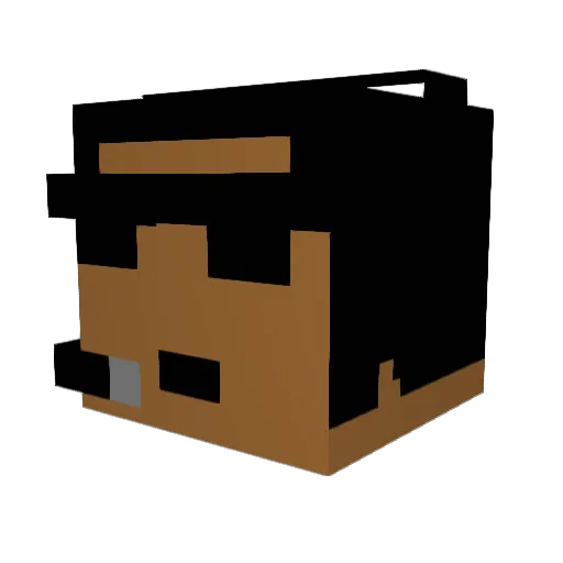 ManCat3000 Minecraft avatar head, 3D render