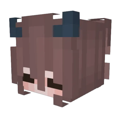 ManEliminator Minecraft avatar head, 3D render