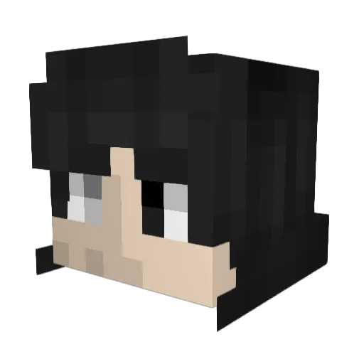 ManHasNoEvo Minecraft avatar head, 3D render