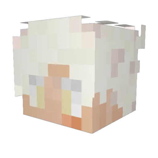 ManOfSeagulls Minecraft avatar head, 3D render