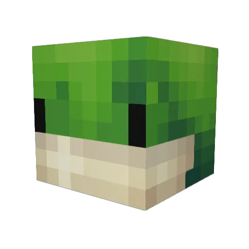 ManOnTh3Moon Minecraft avatar head, 3D render