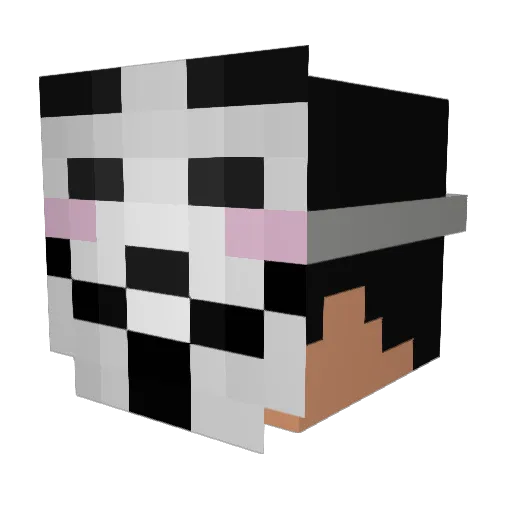 ManYouForgot Minecraft avatar head, 3D render