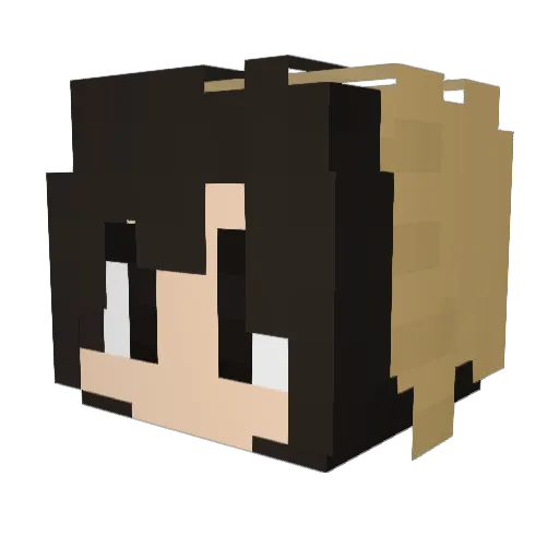 Man_Doo_S2 Minecraft avatar head, 3D render