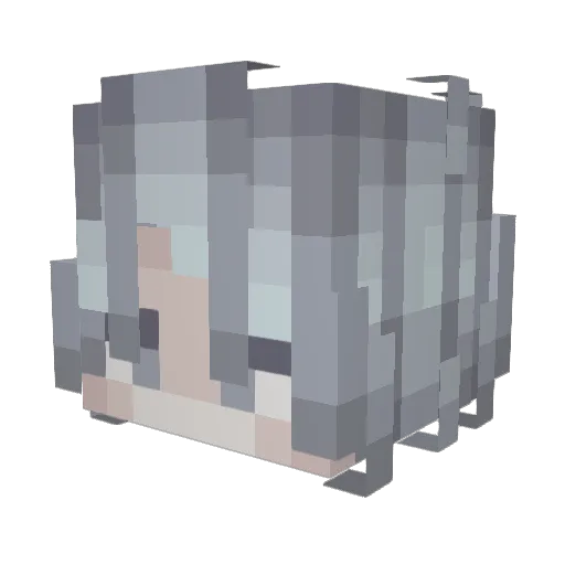 Man_Like_Silky Minecraft avatar head, 3D render