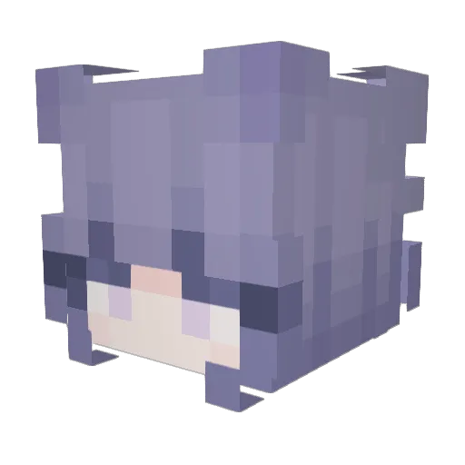 Man_du1028 Minecraft avatar head, 3D render
